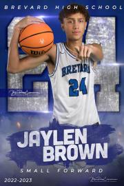 24 Jaylen Brown Blue