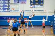Volleyball - Polk at West Henderson_BRE_9187