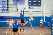 Volleyball - Polk at West Henderson_BRE_9188