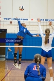 Volleyball - Polk at West Henderson_BRE_0080