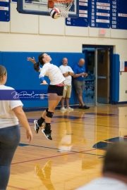Volleyball - Polk at West Henderson_BRE_9940
