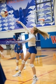 Volleyball: TC Roberson at West Henderson_BRE_0262