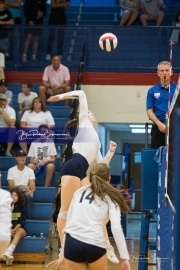 Volleyball: TC Roberson at West Henderson_BRE_0786
