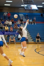 Volleyball - Franklin at West Henderson_BRE_3720