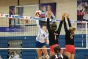 Volleyball - Franklin at West Henderson_BRE_4329