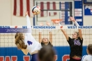 Volleyball - North Henderson at West Henderson_BRE_6489