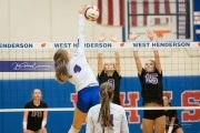 Volleyball - North Henderson at West Henderson_BRE_6501