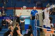 Volleyball - North Henderson at West Henderson_BRE_6839