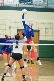 Volleyball West Henderson at East Henderson_BRE_7236