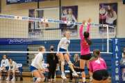 Volleyball Tuscola at West henderson_BRE_4624