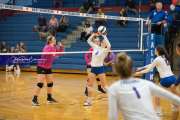 Volleyball Tuscola at West henderson_BRE_4733