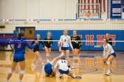 Volleyball Tuscola at West henderson_BRE_5350