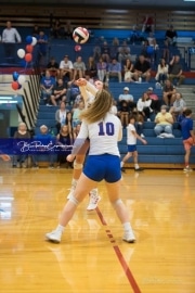 Volleyball Tuscola at West henderson_BRE_5414