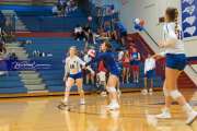 Volleyball Tuscola at West henderson_BRE_5538