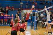 Volleyball Hendersonville at West Henderson_BRE_5714