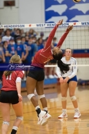 Volleyball Hendersonville at West Henderson_BRE_5733