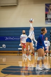 Volleyball Hendersonville at West Henderson_BRE_6273