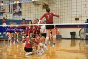 Volleyball Hendersonville at West Henderson_BRE_6301