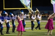 West Henderson Marching Band Senior Night Performance_BRE_6697