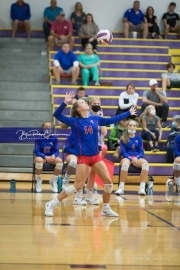 Volleyball West Henderson and Tuscola Mountain 7 Rd 2_BRE_9583