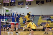 Volleyball West Henderson and Tuscola Mountain 7 Rd 2_BRE_9740