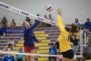 Volleyball West Henderson and Tuscola Mountain 7 Rd 2_BRE_9751