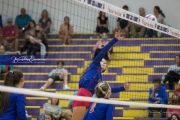 Volleyball West Henderson and Tuscola Mountain 7 Rd 2_BRE_9758