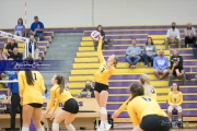 Volleyball West Henderson and Tuscola Mountain 7 Rd 2_BRE_9811