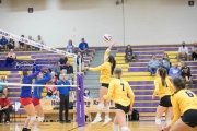 Volleyball West Henderson and Tuscola Mountain 7 Rd 2_BRE_9824