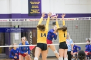 Volleyball West Henderson and Tuscola Mountain 7 Rd 2_BRE_9841