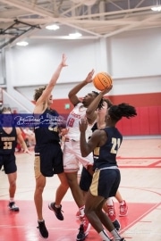 Basketball: TC Roberson at Hendersonville BRE_2984