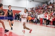 Basketball: TC Roberson at Hendersonville BRE_3140
