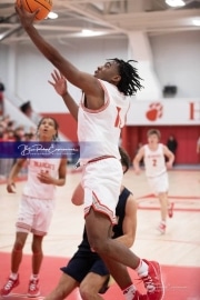 Basketball: TC Roberson at Hendersonville BRE_3198