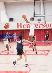 Basketball: TC Roberson at Hendersonville BRE_3429