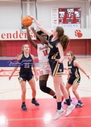 Basketball: TC Roberson at Hendersonville BRE_2721