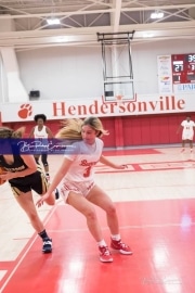 Basketball: TC Roberson at Hendersonville BRE_2744