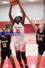 Basketball: TC Roberson at Hendersonville BRE_2815