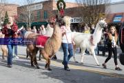 2021 Hendersonville Christmas Parade BRE_4887