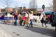 2021 Hendersonville Christmas Parade BRE_4889