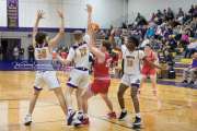 Basketball: Hendersonville v North Hendreson BRE_9924