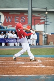 Baseball: Hendersonville at West Henderson_BRE_7072