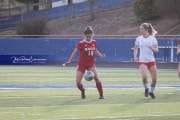 Girls Soccer: Patton at Hendersonville (BRE_5827)
