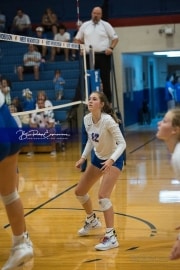 JV Volleyball: Polk at West Henderson (BR3_5078)