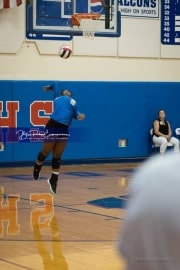 JV Volleyball: Polk at West Henderson (BR3_5127)