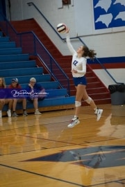 JV Volleyball: Polk at West Henderson (BR3_5150)