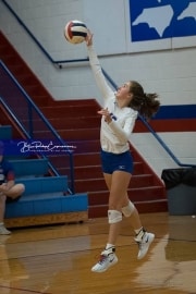 JV Volleyball: Polk at West Henderson (BR3_5179)