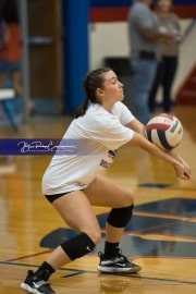 JV Volleyball: Polk at West Henderson (BR3_5231)