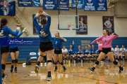 Volleyball: Polk at West Henderson (BR3_5515)