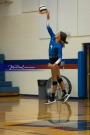 Volleyball: Polk at West Henderson (BR3_5602)