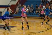 Volleyball: Polk at West Henderson (BR3_5868)
